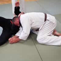 Bjj Training15